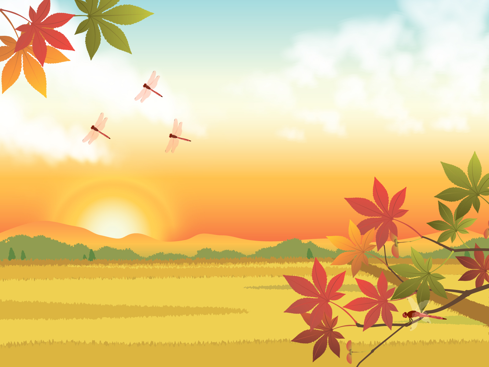 社会保険労務士　